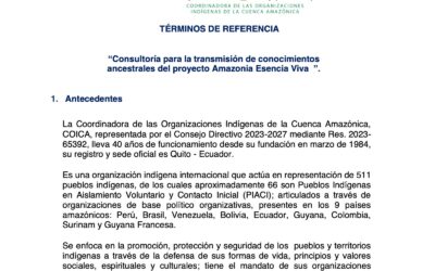 Consultoría para la transmisión de conocimientos ancestrales del proyecto Amazonía Esencia Viva 