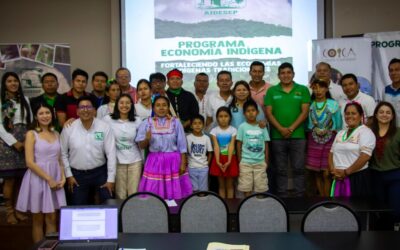 COICA Impulsó el Desarrollo de la economía Indígena en la Amazonía: Taller con Federaciones de CODEPISAM en San Martín