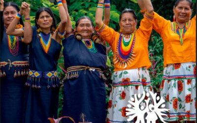 Boletín Informativo:Amazonia Esencia Viva, innovación indígena para la conservación y el desarrollo sostenible
