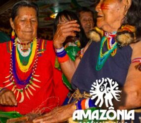Boletín 15: Conoce el proyecto Amazonía Esencia Viva